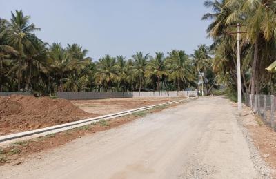 Plot/Namakkal/Paramathi/Nonangkattuputhur